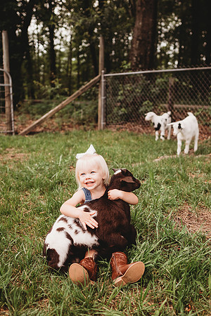 On the Farm-595