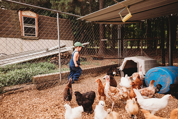 On the Farm-303