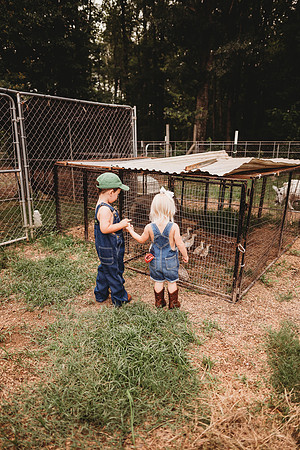 On the Farm-103