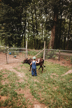 On the Farm-350