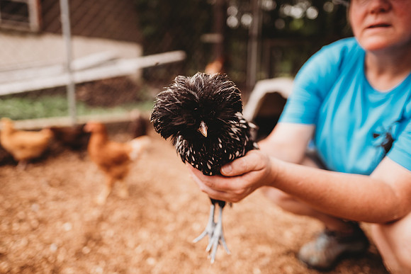 On the Farm-549