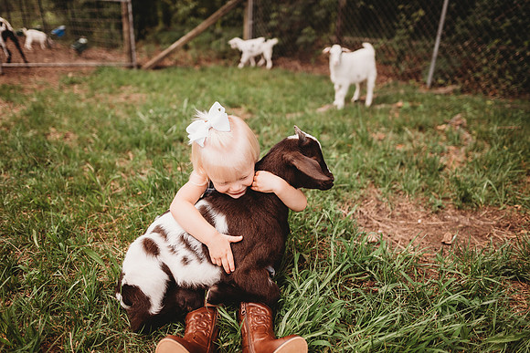 On the Farm-428