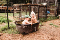 On the Farm-82