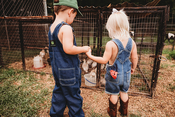 On the Farm-663