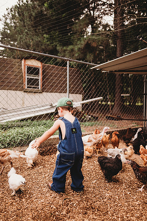 On the Farm-396