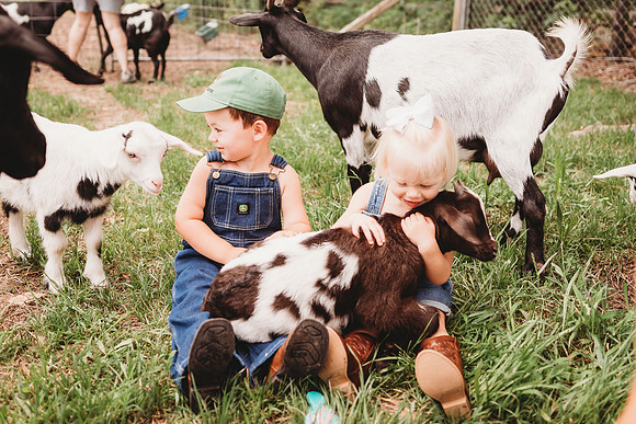 On the Farm-478