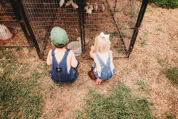 On the Farm-21