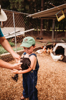 On the Farm-95