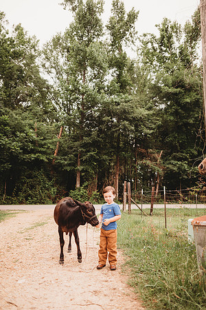On the Farm-593
