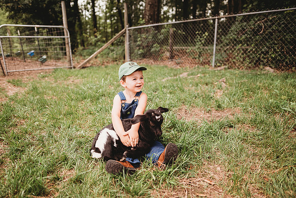 On the Farm-375