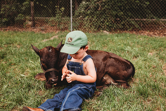 On the Farm-255