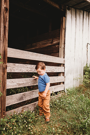 On the Farm-583