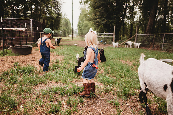 On the Farm-421