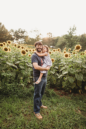Sunflower-Stella-274
