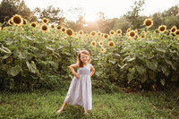 Sunflower-Stella-14