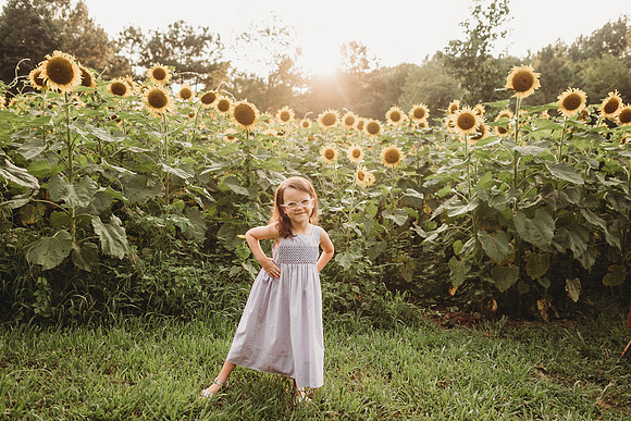 Sunflower-Stella-14