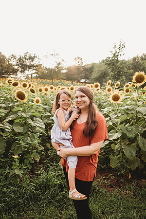 Sunflower-Stella-150