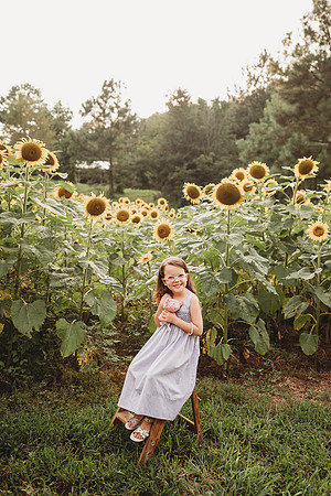 Sunflower-Stella-204