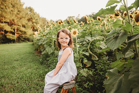 Sunflower-Stella-199