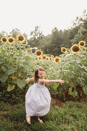 Sunflower-Stella-198