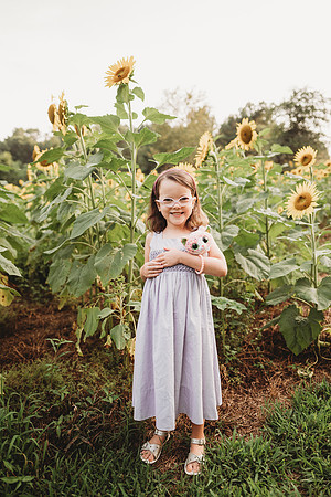 Sunflower-Stella-266