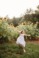 Sunflower-Stella-9