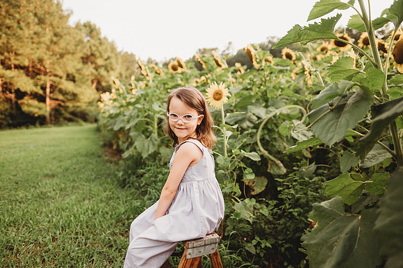 Sunflower-Stella-272