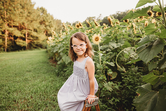 Sunflower-Stella-233
