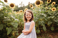 Sunflower-Stella-21