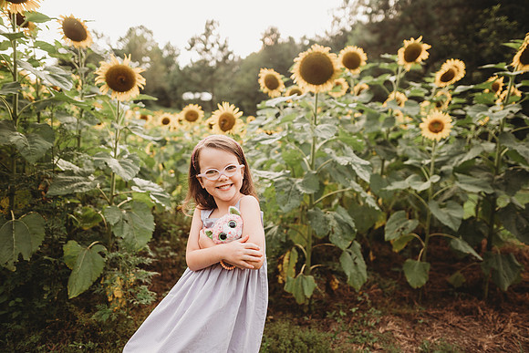 Sunflower-Stella-173