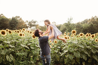 Sunflower-Stella-53