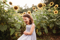 Sunflower-Stella-24