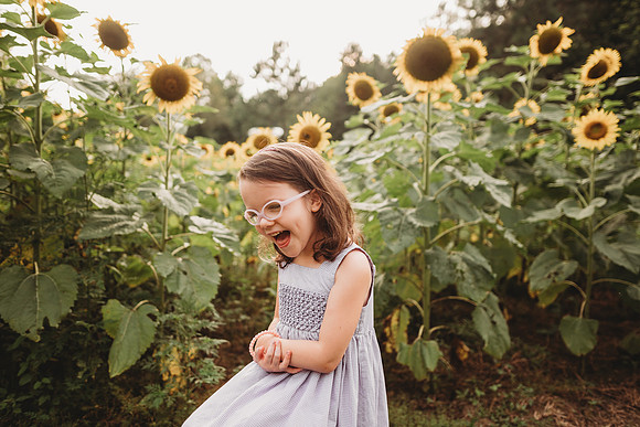 Sunflower-Stella-24