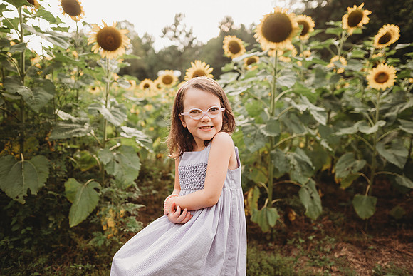 Sunflower-Stella-258