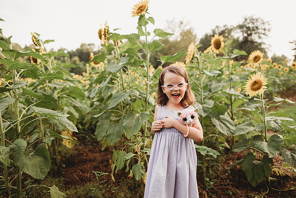 Sunflower-Stella-139