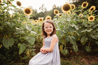 Sunflower-Stella-74