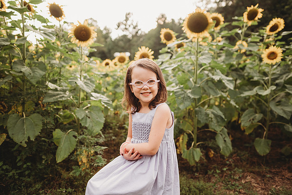 Sunflower-Stella-74