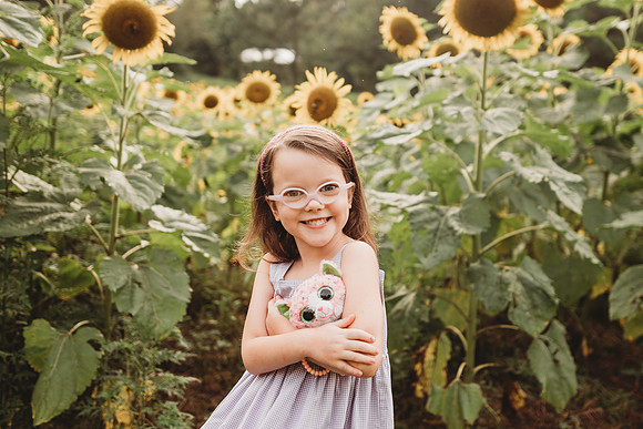 Sunflower-Stella-251