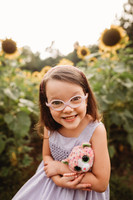 Sunflower-Stella-23