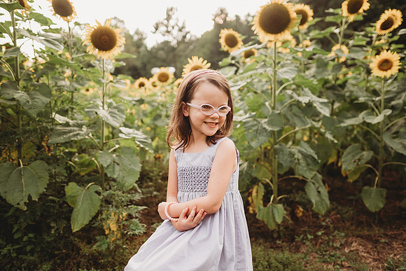 Sunflower-Stella-172