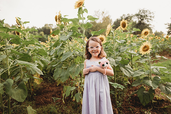 Sunflower-Stella-196