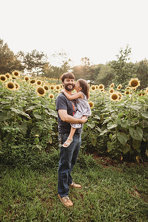 Sunflower-Stella-22