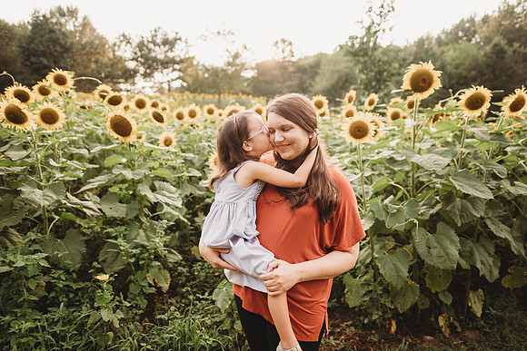 Sunflower-Stella-277