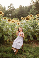 Sunflower-Stella-56
