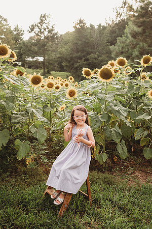 Sunflower-Stella-56