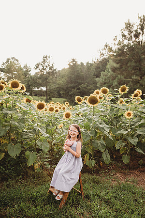 Sunflower-Stella-17