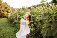 Sunflower-Stella-73