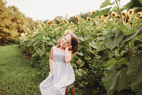Sunflower-Stella-73