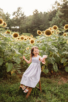 Sunflower-Stella-84