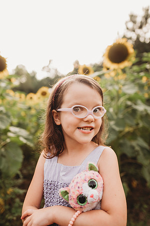 Sunflower-Stella-265